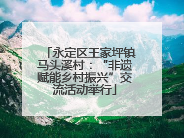 永定区王家坪镇马头溪村：“非遗赋能乡村振兴”交流活动举行
