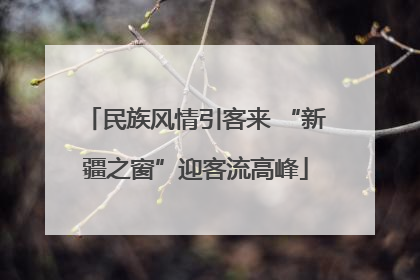民族风情引客来 “新疆之窗”迎客流高峰