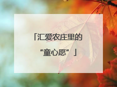 汇爱农庄里的“童心愿”