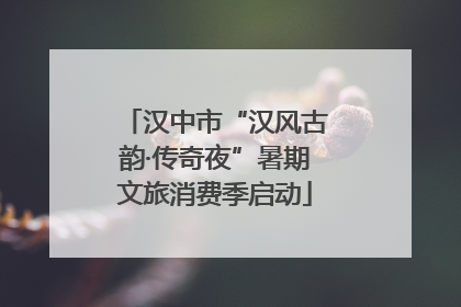 汉中市“汉风古韵·传奇夜”暑期文旅消费季启动