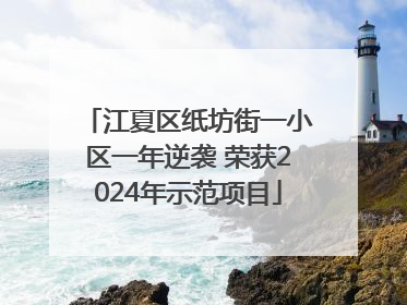 江夏区纸坊街一小区一年逆袭 荣获2024年示范项目