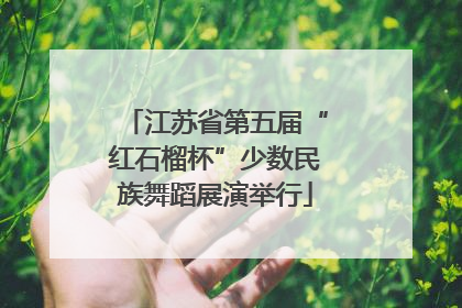 江苏省第五届“红石榴杯”少数民族舞蹈展演举行