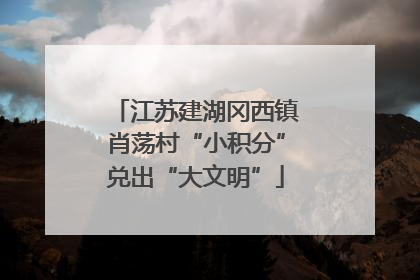 江苏建湖冈西镇肖荡村“小积分”兑出“大文明”