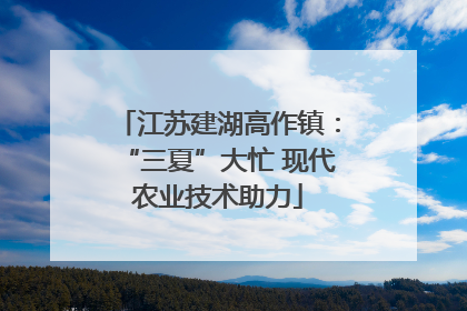 江苏建湖高作镇：“三夏”大忙 现代农业技术助力