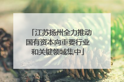 江苏扬州全力推动国有资本向重要行业和关键领域集中