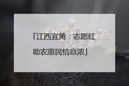 江西宜黄：志愿红助农惠民情意浓