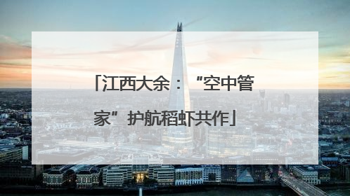 江西大余：“空中管家”护航稻虾共作