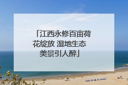 江西永修百亩荷花绽放 湿地生态美景引人醉