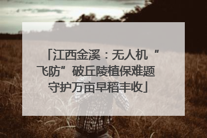 江西金溪：无人机“飞防”破丘陵植保难题 守护万亩早稻丰收