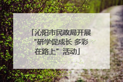 沁阳市民政局开展“研学促成长 多彩在路上”活动