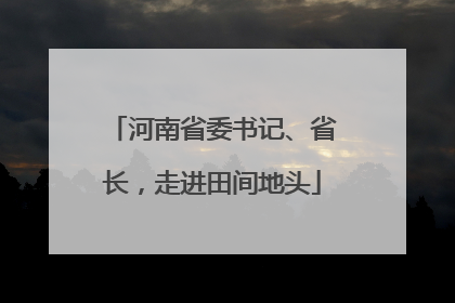 河南省委书记、省长，走进田间地头