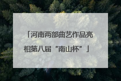 河南两部曲艺作品亮相第八届“南山杯”