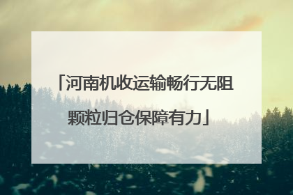 河南机收运输畅行无阻 颗粒归仓保障有力