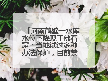 河南鹤壁一水库水位下降现千佛石窟：当地试过多种办法保护，目前禁止打卡