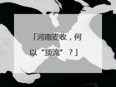 河南麦收，何以“顶流”？