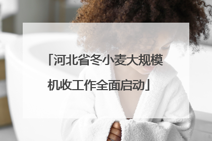 河北省冬小麦大规模机收工作全面启动