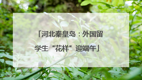 河北秦皇岛：外国留学生“花样”迎端午