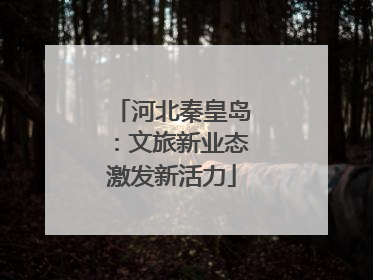 河北秦皇岛：文旅新业态激发新活力