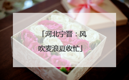 河北宁晋：风吹麦浪夏收忙