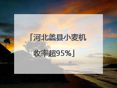 河北蠡县小麦机收率超95%