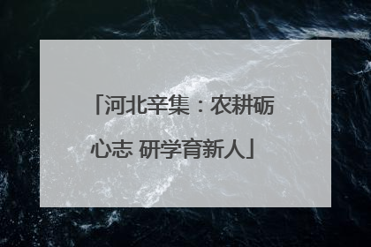 河北辛集：农耕砺心志 研学育新人