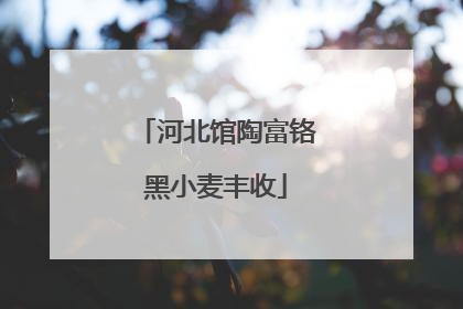 河北馆陶富铬黑小麦丰收
