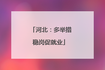 河北：多举措稳岗促就业