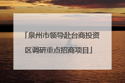 泉州市领导赴台商投资区调研重点招商项目
