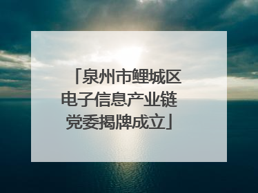 泉州市鲤城区电子信息产业链党委揭牌成立