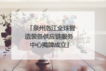 泉州洛江全球智造装备供应链服务中心揭牌成立