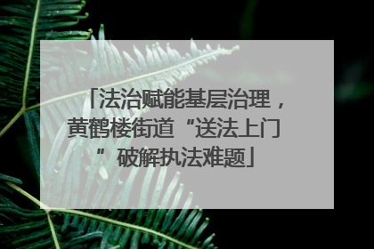 法治赋能基层治理，黄鹤楼街道“送法上门”破解执法难题