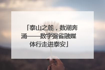 泰山之麓，数潮奔涌——数字强省融媒体行走进泰安