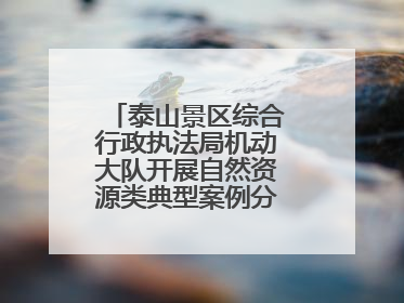 泰山景区综合行政执法局机动大队开展自然资源类典型案例分析交流活动