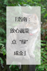 洛南：放心蔬菜点“绿”成金