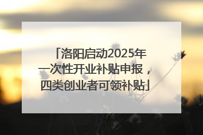 洛阳启动2025年一次性开业补贴申报，四类创业者可领补贴