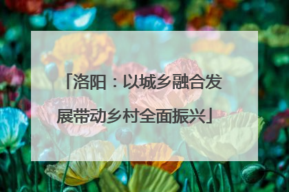 洛阳：以城乡融合发展带动乡村全面振兴