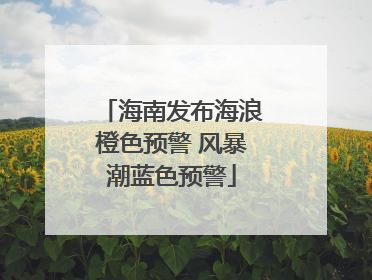 海南发布海浪橙色预警 风暴潮蓝色预警