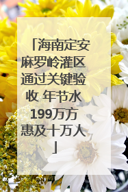 海南定安麻罗岭灌区通过关键验收 年节水199万方惠及十万人