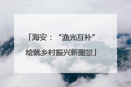 海安：“渔光互补” 绘就乡村振兴新图景