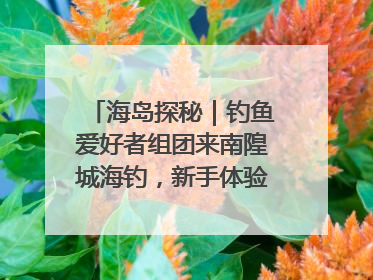 海岛探秘｜钓鱼爱好者组团来南隍城海钓，新手体验也惊喜连连