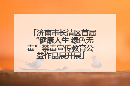 济南市长清区首届“健康人生 绿色无毒”禁毒宣传教育公益作品展开展