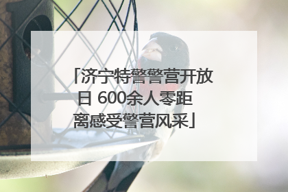 济宁特警警营开放日 600余人零距离感受警营风采