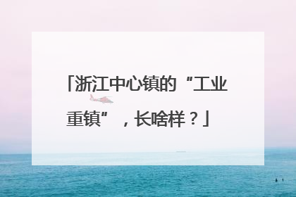 浙江中心镇的“工业重镇”，长啥样？