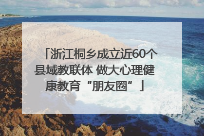 浙江桐乡成立近60个县域教联体 做大心理健康教育“朋友圈”