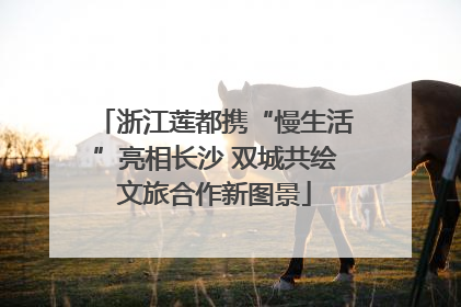 浙江莲都携“慢生活”亮相长沙 双城共绘文旅合作新图景