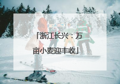 浙江长兴：万亩小麦迎丰收