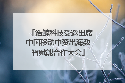 浩鲸科技受邀出席中国移动中资出海数智赋能合作大会