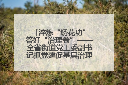 淬炼“绣花功” 答好“治理卷”——全省街道党工委副书记抓党建促基层治理培训示范班侧记