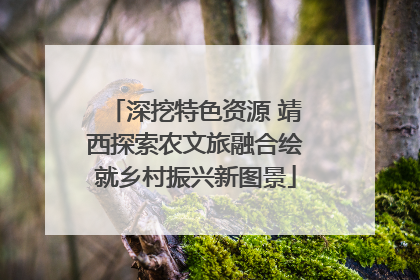深挖特色资源 靖西探索农文旅融合绘就乡村振兴新图景