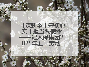 深耕乡土守初心 实干担当践使命——记人保集团2025年五一劳动奖状获得者、人保财险江苏南通海安支公司